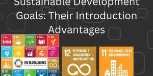 Sustainable Development Goals Their Introduction Advantages sdgs 17 global goals