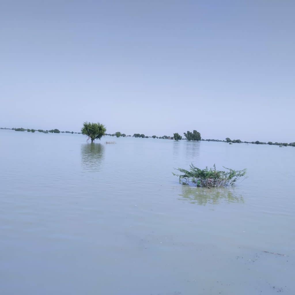Due to Geopolitics The flood of Johi District Dadu Sindh Pakistan 2022.